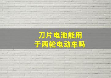 刀片电池能用于两轮电动车吗