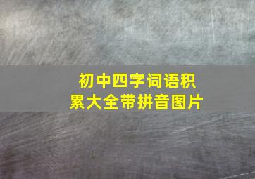 初中四字词语积累大全带拼音图片