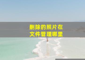 删除的照片在文件管理哪里