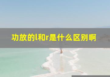 功放的l和r是什么区别啊