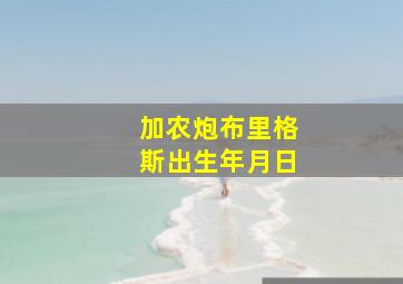 加农炮布里格斯出生年月日