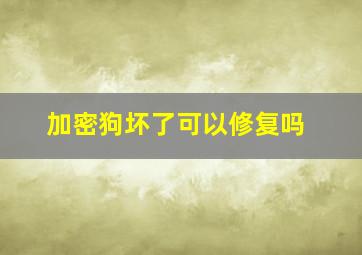 加密狗坏了可以修复吗