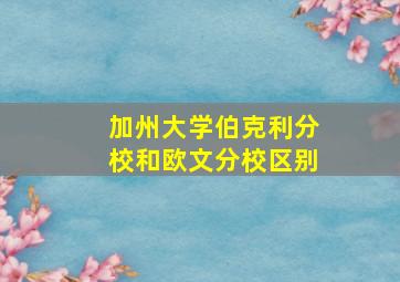 加州大学伯克利分校和欧文分校区别