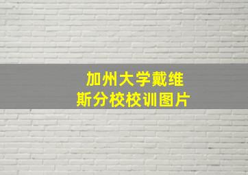 加州大学戴维斯分校校训图片