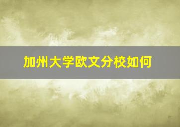 加州大学欧文分校如何