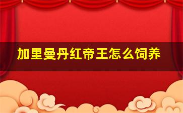 加里曼丹红帝王怎么饲养