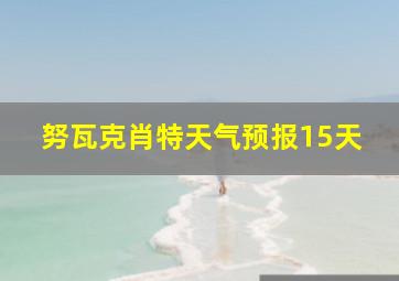 努瓦克肖特天气预报15天