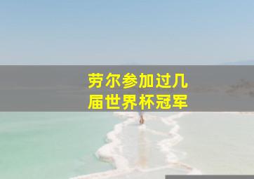 劳尔参加过几届世界杯冠军