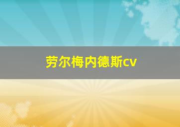 劳尔梅内德斯cv