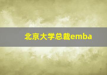 北京大学总裁emba