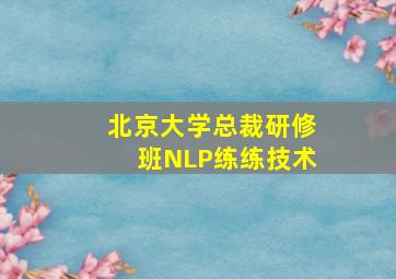 北京大学总裁研修班NLP练练技术