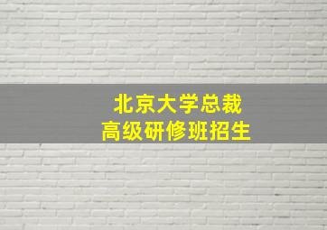 北京大学总裁高级研修班招生