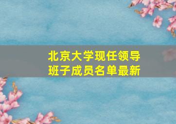 北京大学现任领导班子成员名单最新