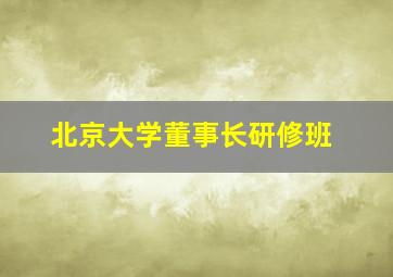 北京大学董事长研修班