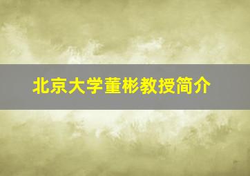 北京大学董彬教授简介