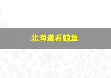 北海道看鲸鱼