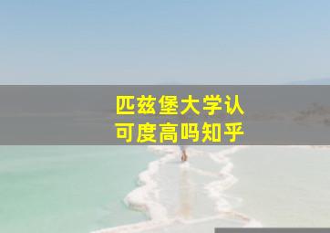 匹兹堡大学认可度高吗知乎