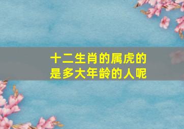 十二生肖的属虎的是多大年龄的人呢