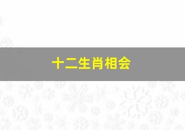 十二生肖相会