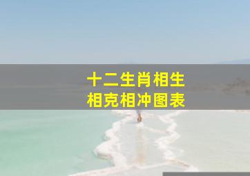 十二生肖相生相克相冲图表