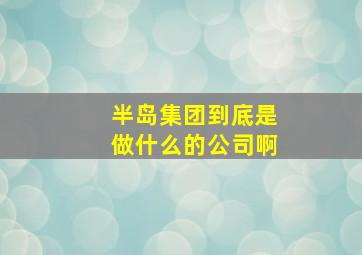 半岛集团到底是做什么的公司啊