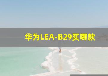 华为LEA-B29买哪款