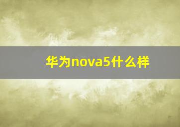 华为nova5什么样