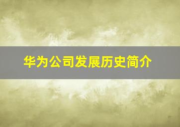 华为公司发展历史简介