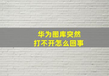 华为图库突然打不开怎么回事