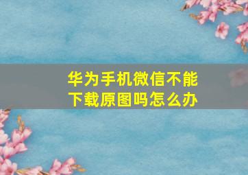 华为手机微信不能下载原图吗怎么办