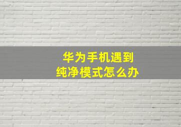 华为手机遇到纯净模式怎么办