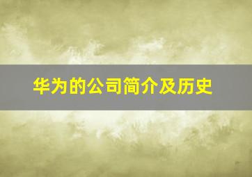 华为的公司简介及历史