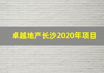 卓越地产长沙2020年项目