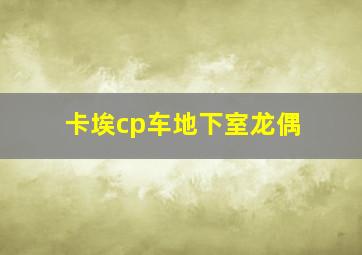 卡埃cp车地下室龙偶