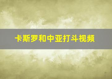 卡斯罗和中亚打斗视频