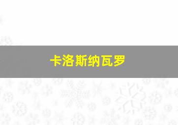 卡洛斯纳瓦罗