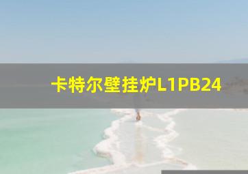 卡特尔壁挂炉L1PB24