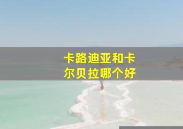 卡路迪亚和卡尔贝拉哪个好