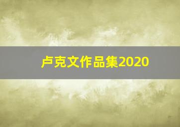 卢克文作品集2020