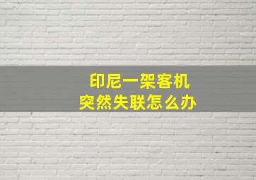 印尼一架客机突然失联怎么办