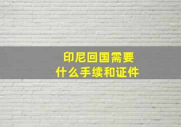 印尼回国需要什么手续和证件