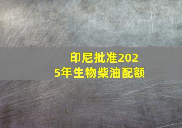 印尼批准2025年生物柴油配额