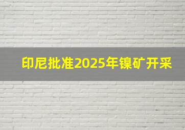 印尼批准2025年镍矿开采