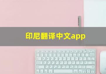 印尼翻译中文app