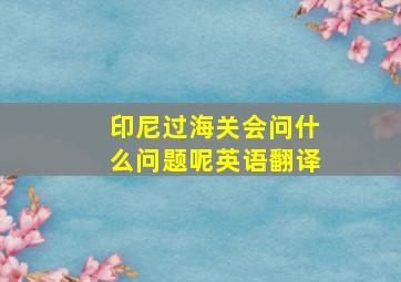 印尼过海关会问什么问题呢英语翻译