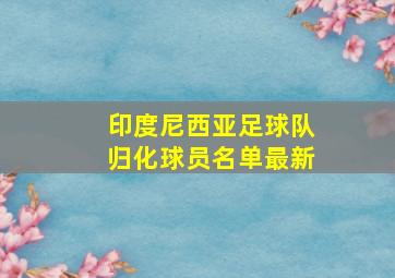 印度尼西亚足球队归化球员名单最新