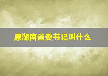 原湖南省委书记叫什么