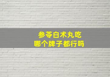 参苓白术丸吃哪个牌子都行吗