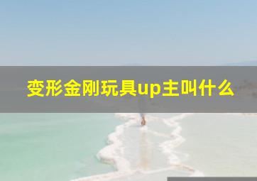 变形金刚玩具up主叫什么