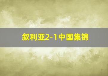 叙利亚2-1中国集锦